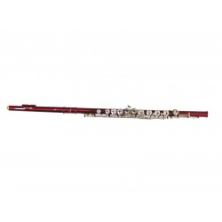 DIMAVERY QP-10 C Flute, red