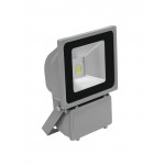 Lauko žibintas EUROLITE LED IP FL-80 COB 6400K 120�