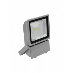 EUROLITE LED IP FL-100 COB 6400K 120� EUROLITE LED IP FL-100 COB 6400K 120�