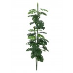 EUROPALMS Split philo, 150cm