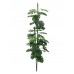 EUROPALMS Split philo, 150cm