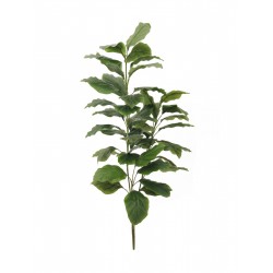 Dirbtinis augalas EUROPALMS Evergreen, 3 šakos, 150cm