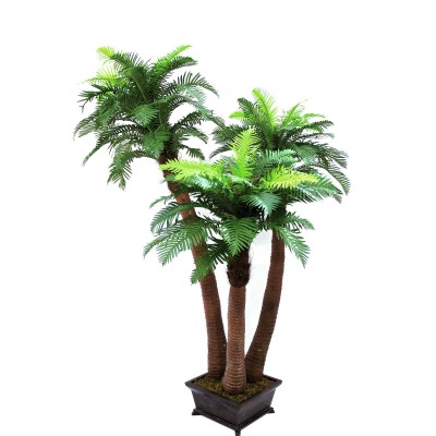 Dirbtinė medinio paparčio palmė, 240cm
