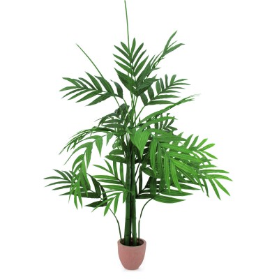 EUROPALMS Areca palm, 230cm EUROPALMS Areca palm, 230cm