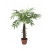 Dirbtinė kokoso palmė EUROPALMS Coconut palm with 12 leaves, 90cm