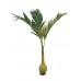 Dirbtinė palmė EUROPALMS  300cm
