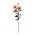 EUROPALMS Tiger lily, orange, 97cm