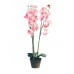 Dekoratyvinė orchidėja EUROPALMS rožinė, 80cm