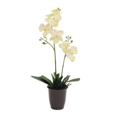 Dirbtinė orchidėja vazone EUROPALMS kreminė, 57cm