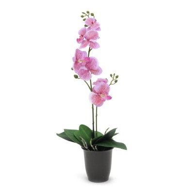 Dirbtinė orchidėja vazone EUROPALMS rožinė, 57cm