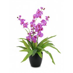 Dirbtinė purpurinė orchidėja vazone EUROPALMS  80cm