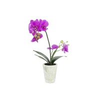 Dirbtinė orchidėja EUROPALMS Orchid arrangement 3