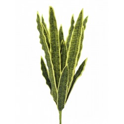 Dirbtinis augalas EUROPALMS Sansevieria (EVA), green-yellow, 50cm