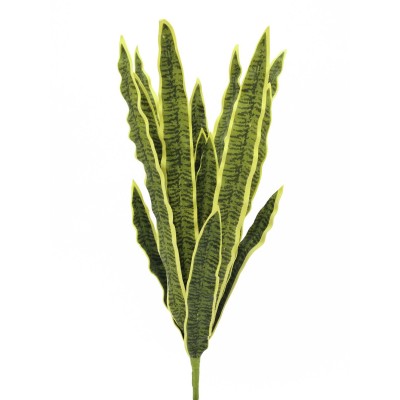 Dirbtinis augalas EUROPALMS Sansevieria (EVA), green-yellow, 50cm