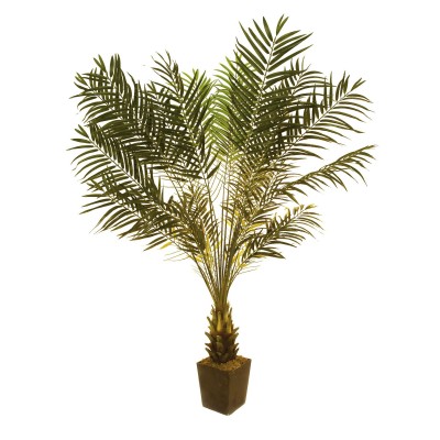 Dirbtinė ciko palmė EUROPALMS, 223cm