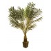 Dirbtinė ciko palmė EUROPALMS, 223cm