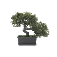 Dirbtinis bonsai EUROPALMS  21cm