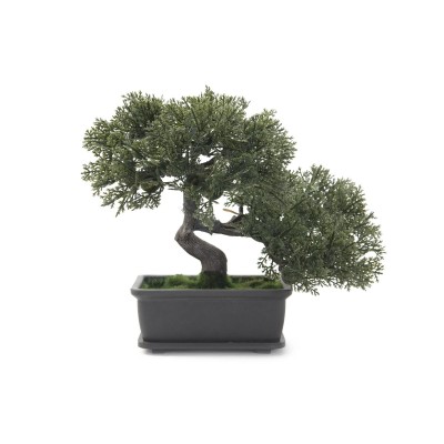 Dirbtinis bonsai EUROPALMS 21cm Dirbtinis bonsai EUROPALMS 21cm