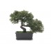 Dirbtinis bonsai EUROPALMS 21cm Dirbtinis bonsai EUROPALMS 21cm