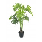 EUROPALMS Split Philo Plant, 90cm