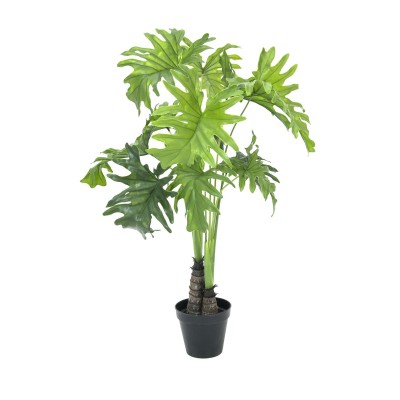 EUROPALMS Split Philo Plant, 90cm