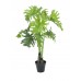 EUROPALMS Split Philo Plant, 90cm
