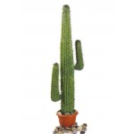 EUROPALMS Mexican Cactus, green, 140cm