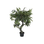 Dirbtinis fikusas EUROPALMS Ficus Forest Tree, 80cm