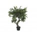 Dirbtinis fikusas EUROPALMS Ficus Forest Tree, 80cm
