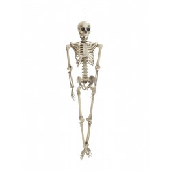Skeletas helovynui EUROPALMS Halloween Skeleton