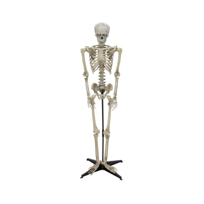 Animuotas helovyno skeletas EUROPALMS 163cm