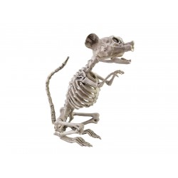 Žiurkės skeleto siluetas EUROPALMS Halloween Skeleton Rat, 32x10x16cm