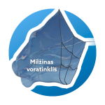 Milžino voratinklio lazdelės