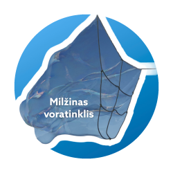 Milžino voratinklio lazdelės