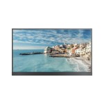 Hikvision SP 21.5