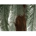Dirbtinė ciko palmė 210cm