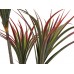 Dirbtinė juka EUROPALMS Yucca palmė, 150cm