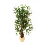 Dirbtinė Lady palmė 150cm