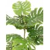 Dirbtiniai filodendro lapai EUROPALMS Split philo, 3 šakos, 90cm