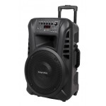 Nešiojama garso sistema 2 belaidžiais UHF rankiniais mikrofonais ir FM imtuvu