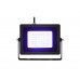 EUROLITE LED IP FL-30 SMD blue