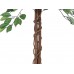 Dirbtinis fikusas EUROPALMS Ficus tree multi trunk, 150cm