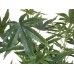 EUROPALMS Cannabis-plant,textile, 120cm