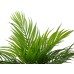 EUROPALMS Areca Palm, artificial plant, 46 cm