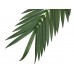 EUROPALMS Coconut Kingpalm branch, 200cm