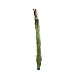 EUROPALMS Reed grass w/ cattails,light green,152cm