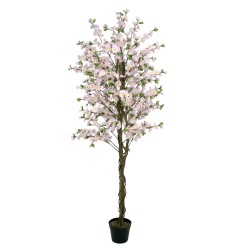EUROPALMS Cherry tree with 4 trunks, pink, 180 cm