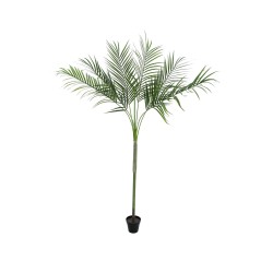 Dirbtinė palmė EUROPALMS Areca Palm su dideliais lapais, 180cm