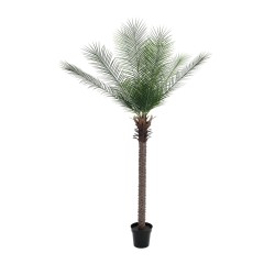 Dirbtinė palmė EUROPALMS Phoenix deluxe, 220cm