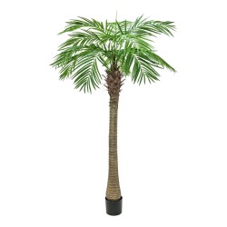 Dirbtinė palmė luxor , 240cm